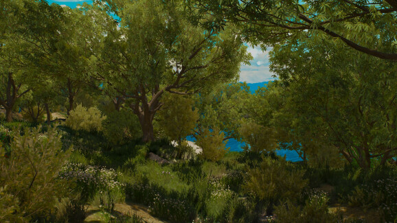 The Witcher 3: Wild Hunt